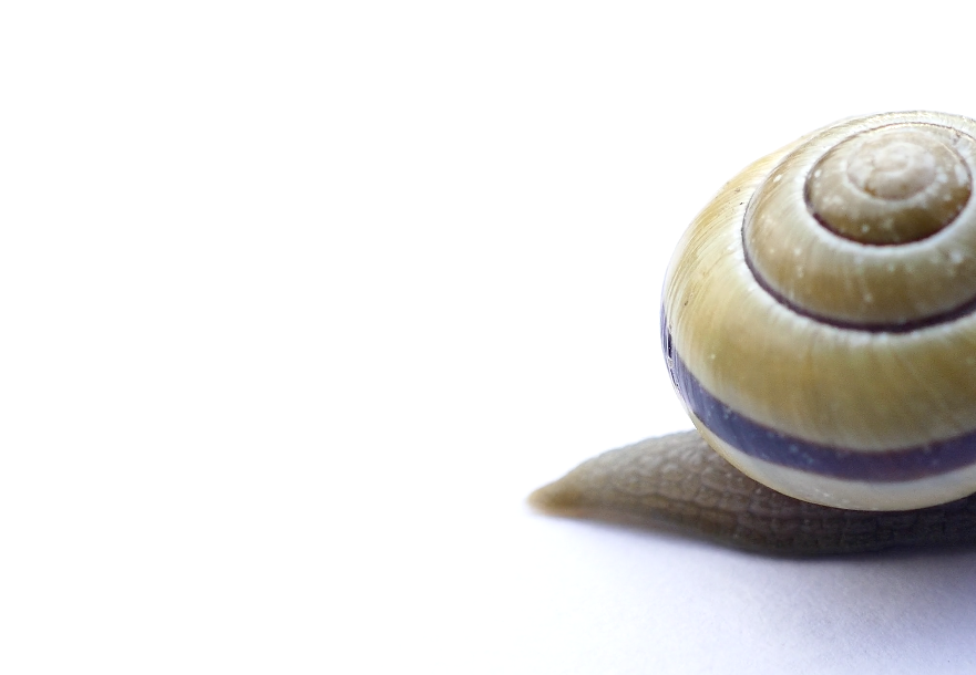 Bildschirmfoto 2018-03-24 um 14.32.36